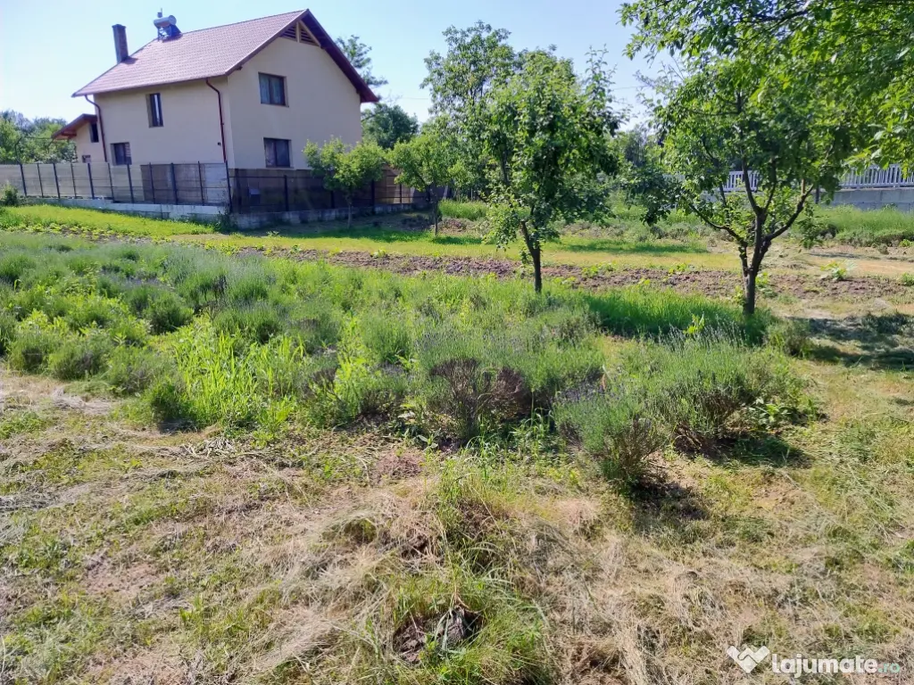 Teren în Vălenii de Munte