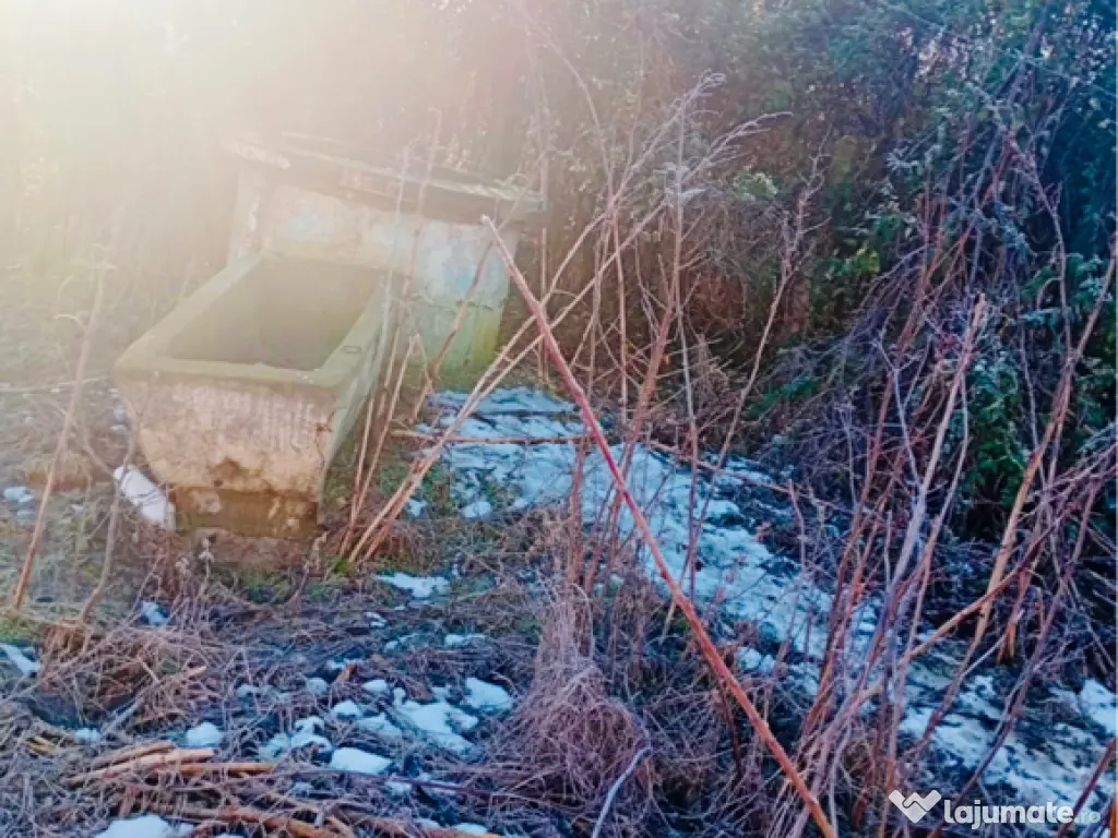 Casa Galicea Mare, Dolj 