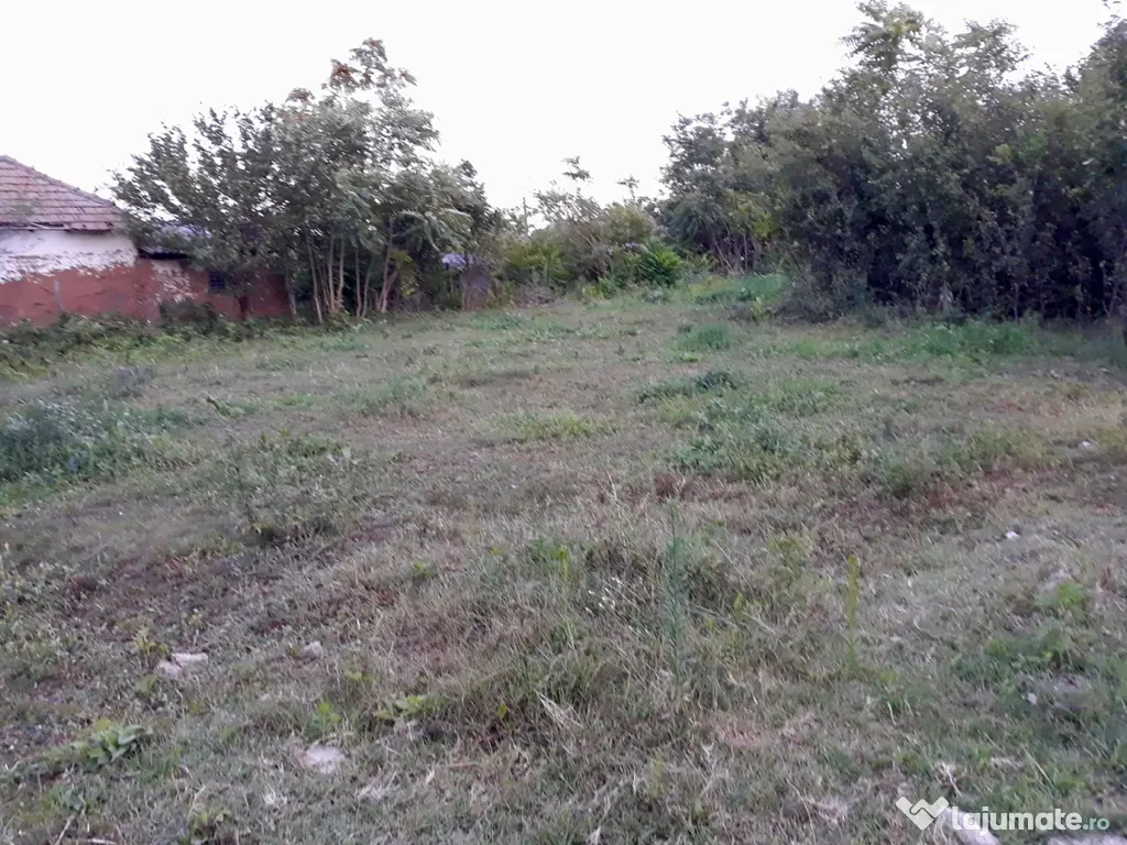 Casa Galicea Mare, Dolj 