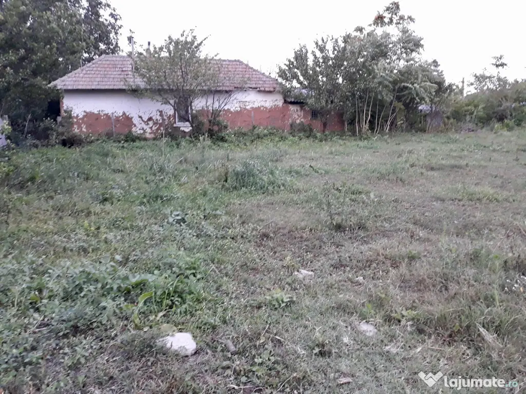 Casa Galicea Mare, Dolj 