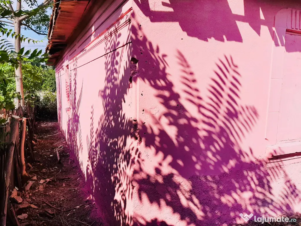 Casa Galicea Mare, Dolj 