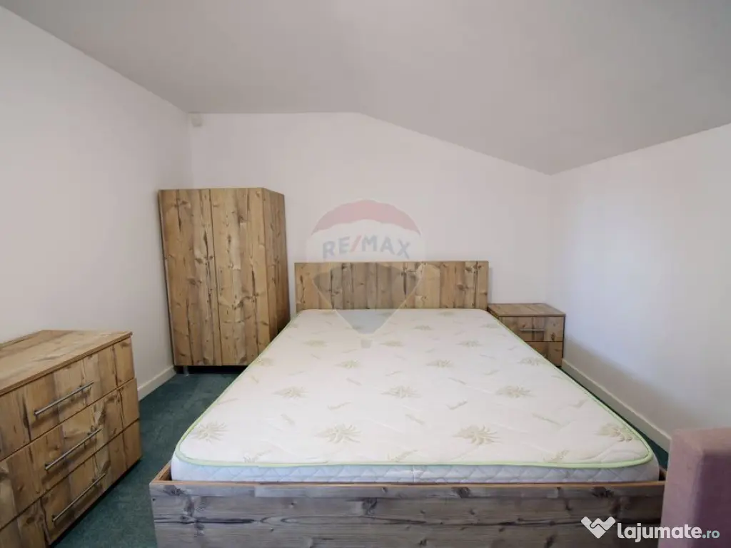 Vanzare Cabana cu 6 camere Muntele Baisorii 