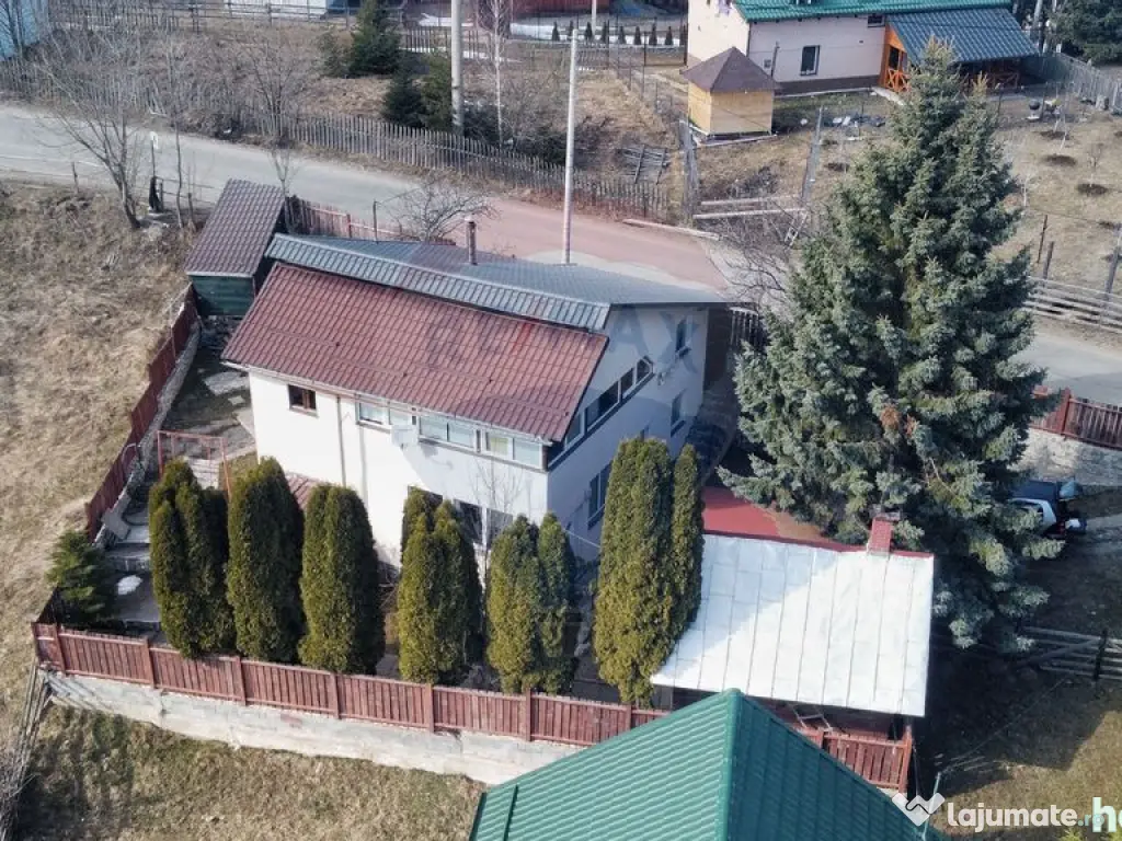 Vanzare Cabana cu 6 camere Muntele Baisorii 