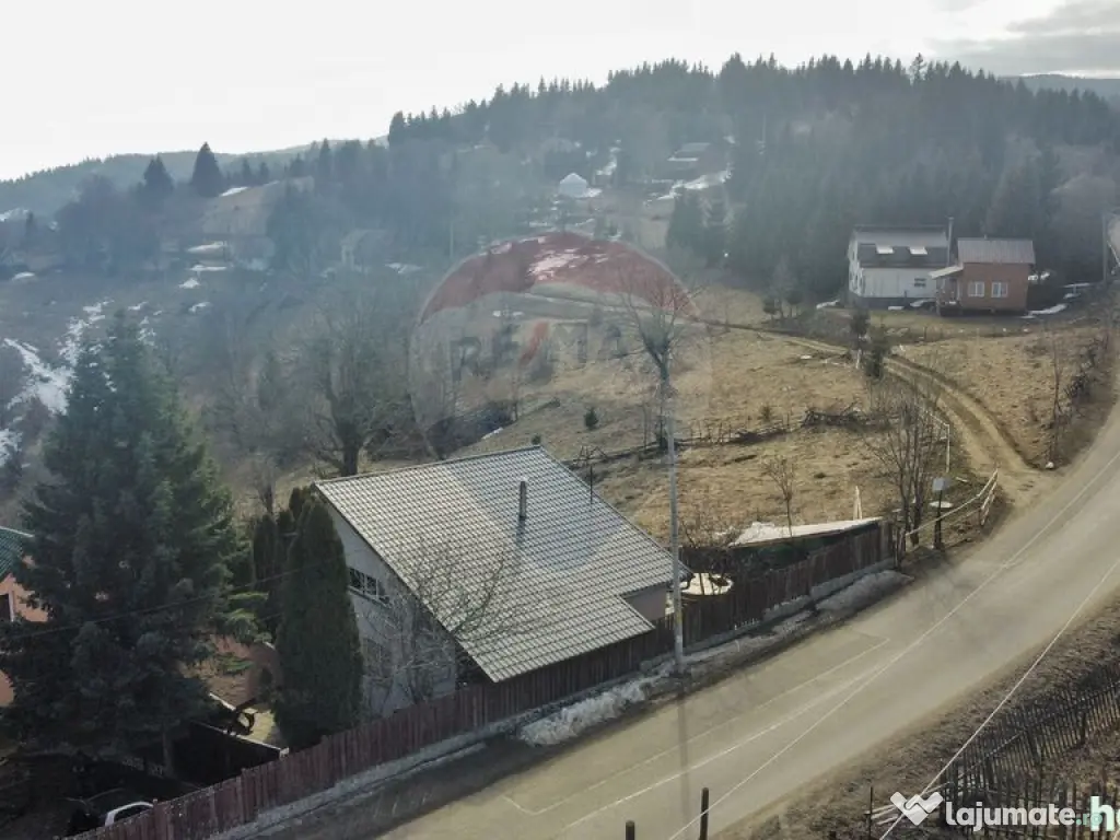 Vanzare Cabana cu 6 camere Muntele Baisorii 