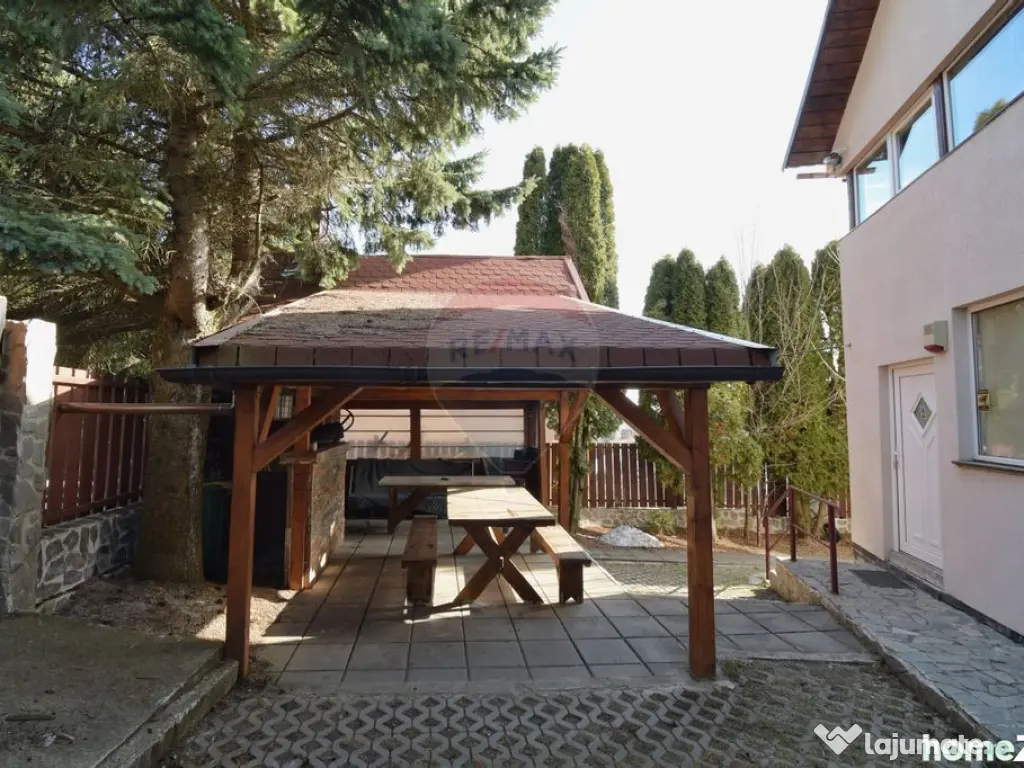 Vanzare Cabana cu 6 camere Muntele Baisorii 