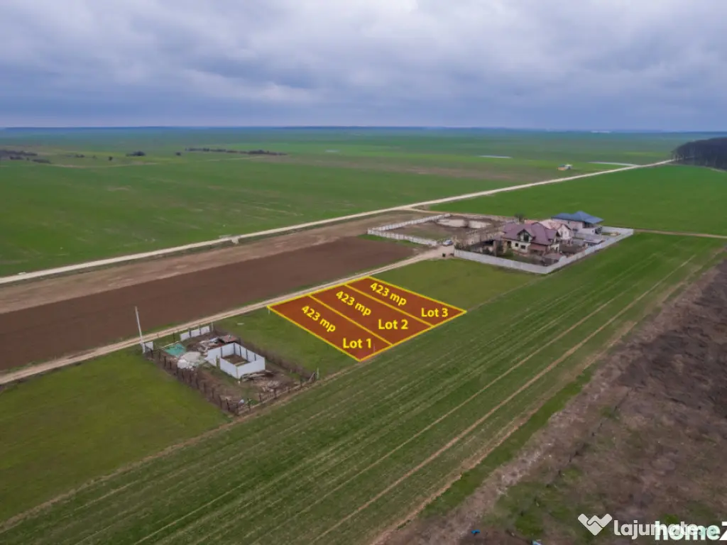 FRUMUSANI - VIOLETELOR, TEREN 423 MP, FRONT 14 M! 