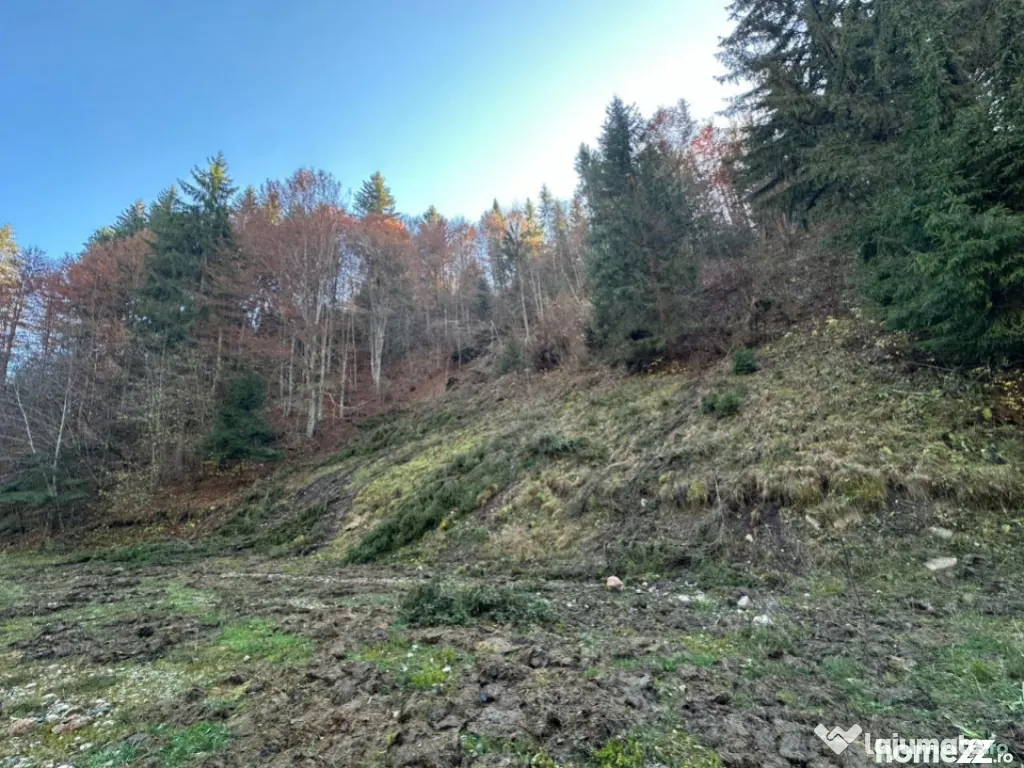 Teren 2.882 mp – oportunitate investitie - Cheile Dâmbovi 