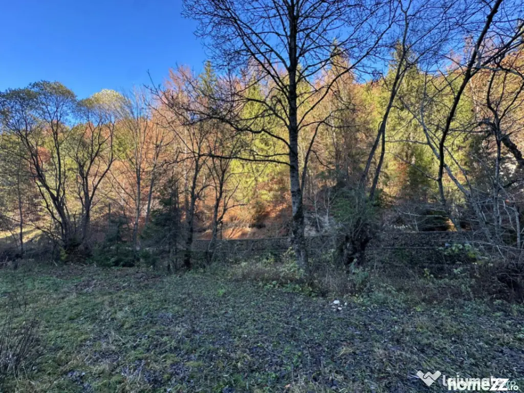 Teren 2.882 mp – oportunitate investitie - Cheile Dâmbovi 