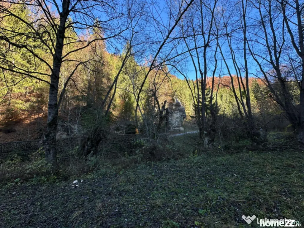 Teren 2.882 mp – oportunitate investitie - Cheile Dâmbovi 