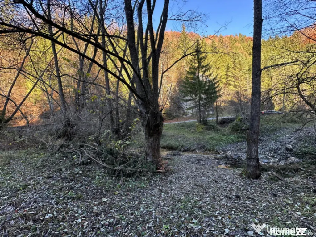 Teren 2.882 mp – oportunitate investitie - Cheile Dâmbovi 
