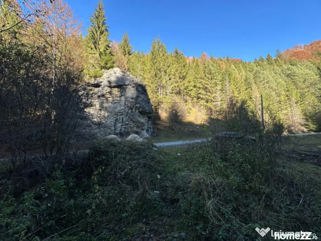 Teren 2.882 mp – oportunitate investitie - Cheile Dâmbovi 