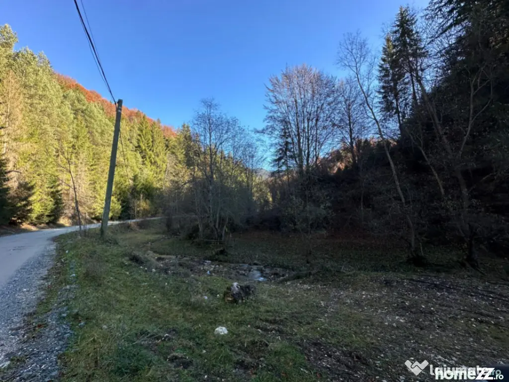 Teren 2.882 mp – oportunitate investitie - Cheile Dâmbovi 
