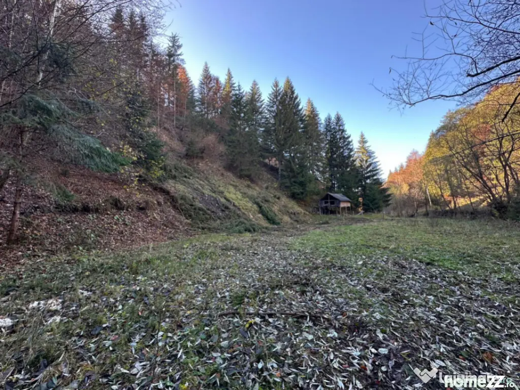 Teren 2.882 mp – oportunitate investitie - Cheile Dâmbovi 