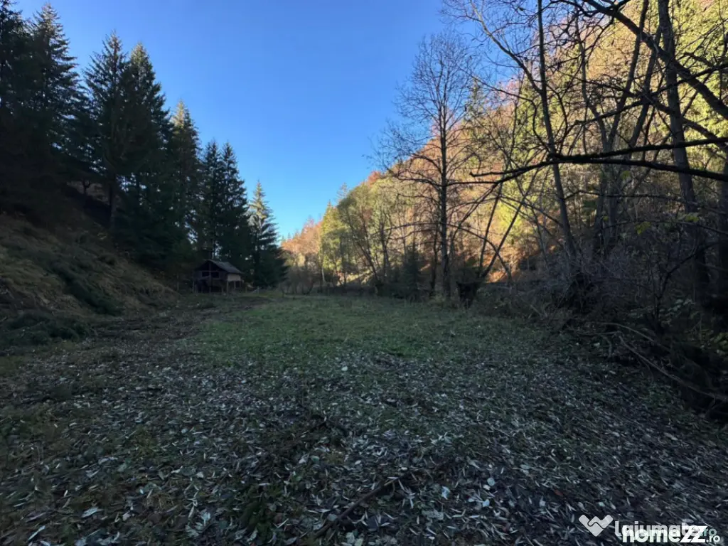 Teren 2.882 mp – oportunitate investitie - Cheile Dâmbovi 