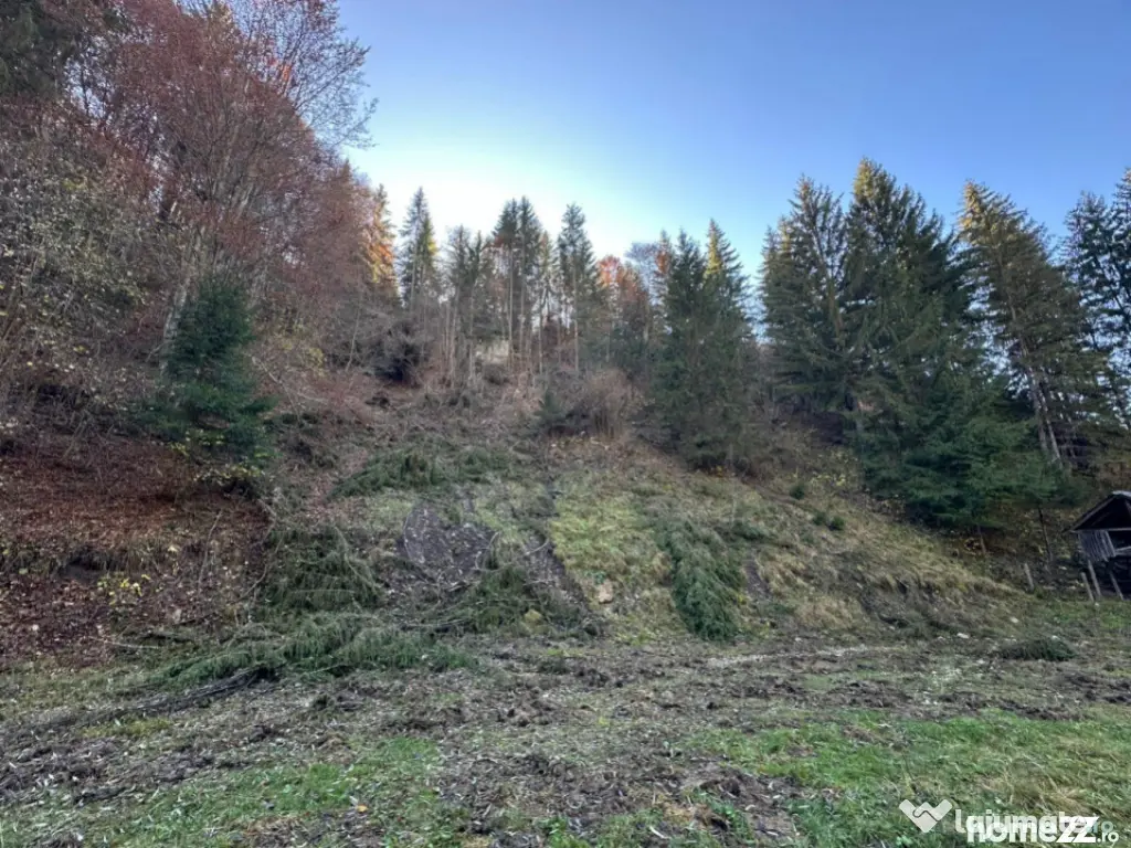 Teren 2.882 mp – oportunitate investitie - Cheile Dâmbovi 