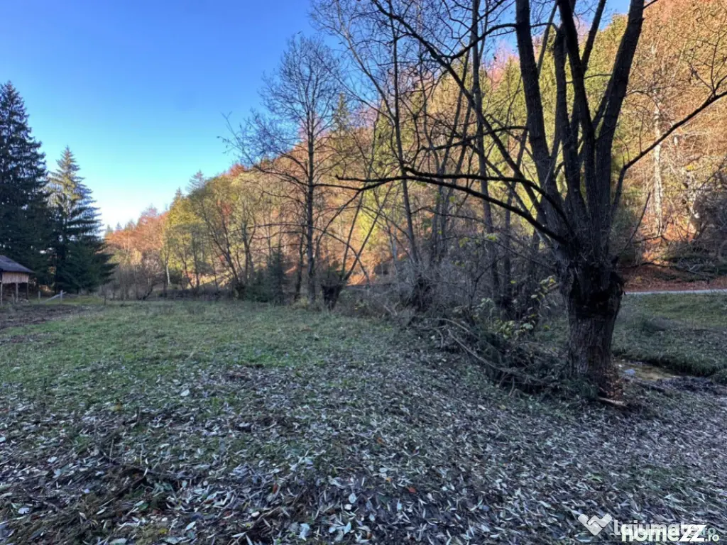 Teren 2.882 mp – oportunitate investitie - Cheile Dâmbovi 