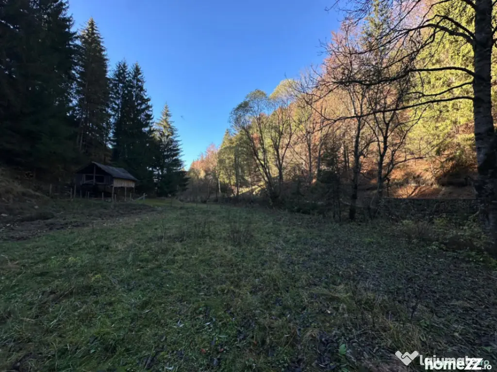 Teren 2.882 mp – oportunitate investitie - Cheile Dâmbovi 