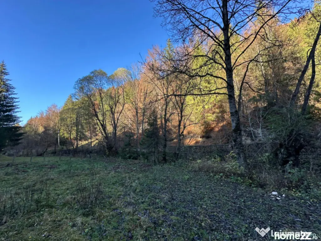 Teren 2.882 mp – oportunitate investitie - Cheile Dâmbovi 