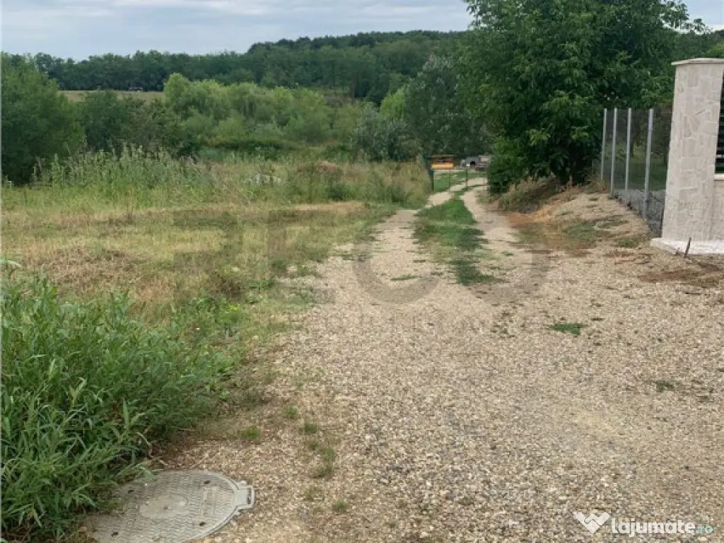 Teren intravilan in Paleu 