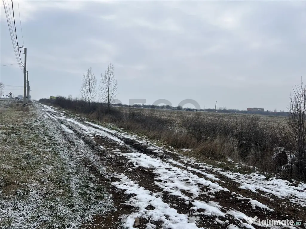 RECO teren intravilan Inand 