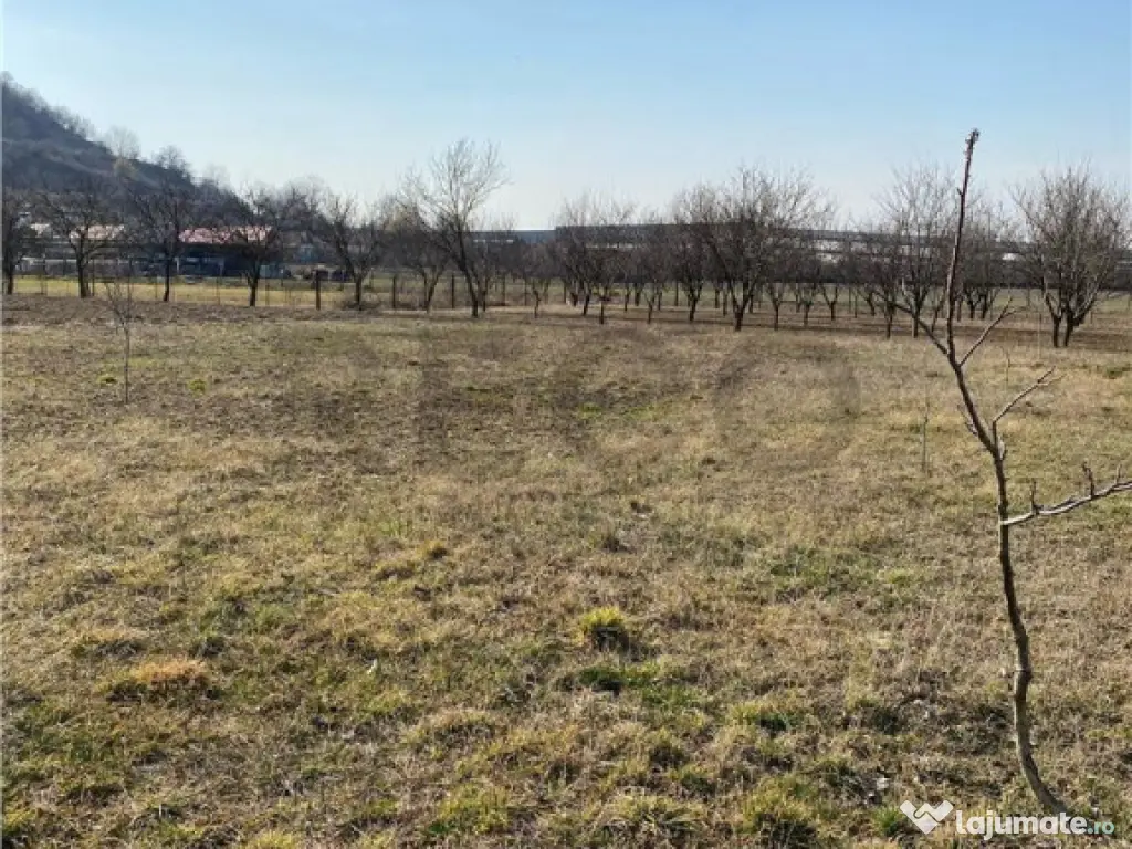 RECO Teren intravilan in zona Alesd Sat Subpiatra 800mp 