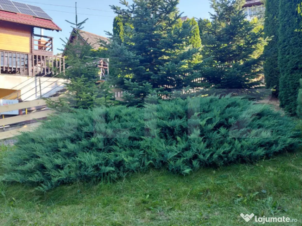 Casă de vânzare în Vatra Dornei, 65 mp amprenta la sol 