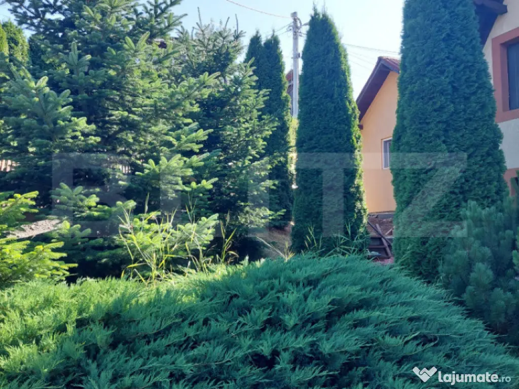 Casă de vânzare în Vatra Dornei, 65 mp amprenta la sol 