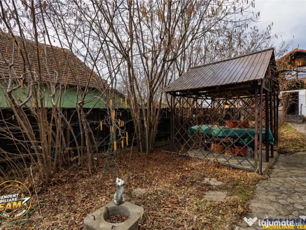 Proprietate cu 2 case in Reci:zona pitoreasca, aer curat,apr 