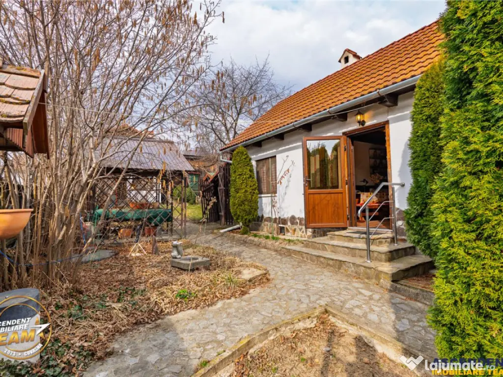 Proprietate cu 2 case in Reci:zona pitoreasca, aer curat,apr 