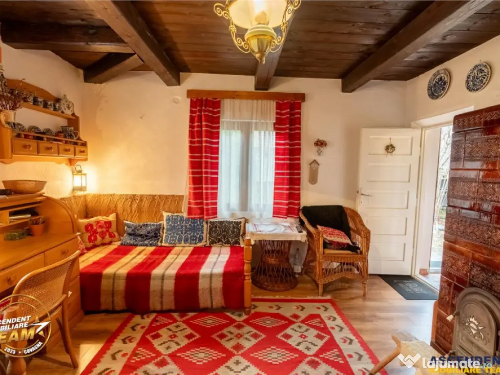 Proprietate cu 2 case in Reci:zona pitoreasca, aer curat,apr 