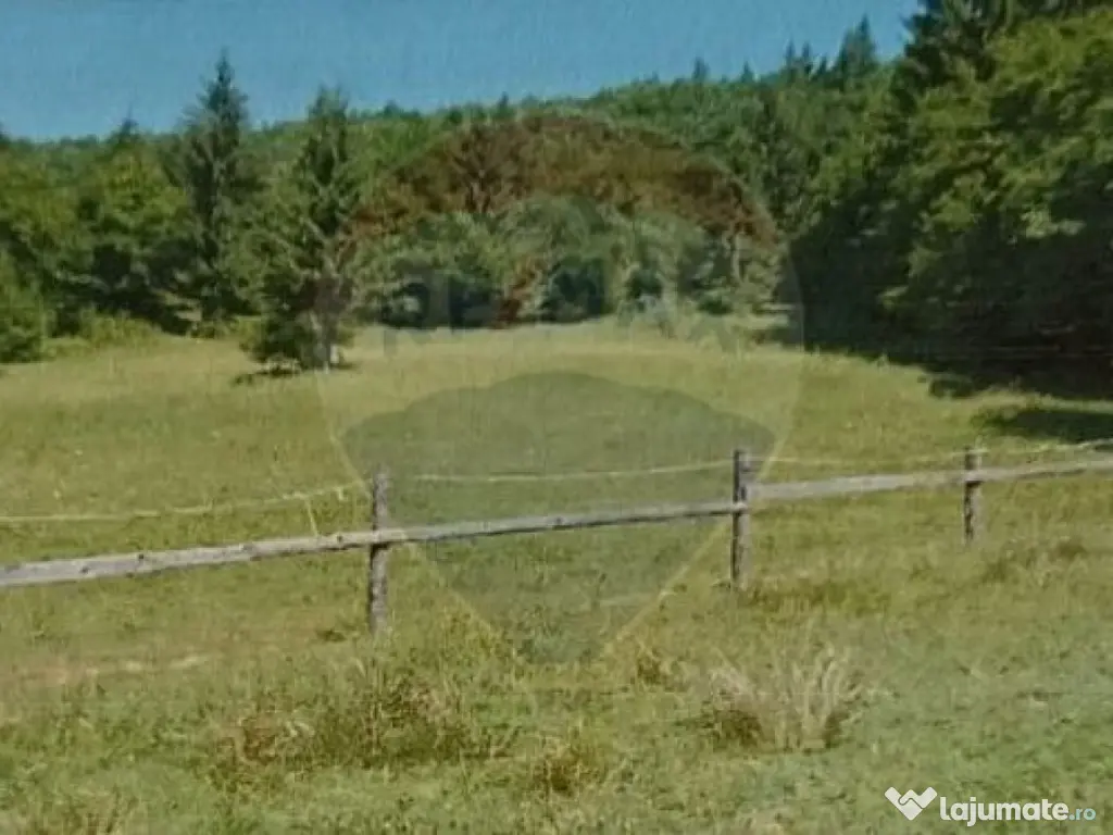 Poienita 2800mp, Covasna, zona hotel Clermont, inconjurat... 