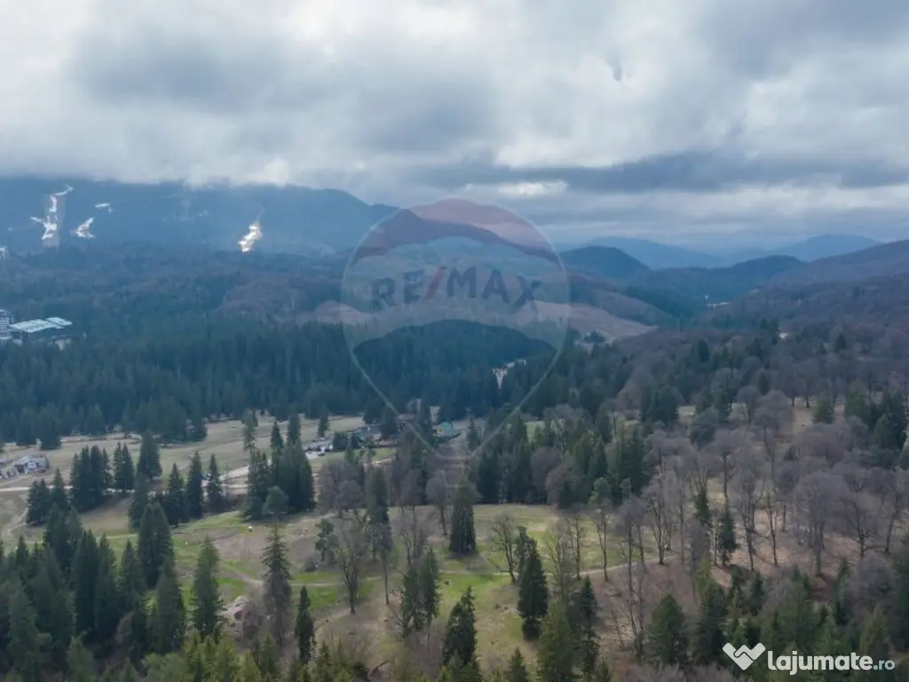 Teren intravilan – 2 x 500 mp în Poiana Mică | Invest... 