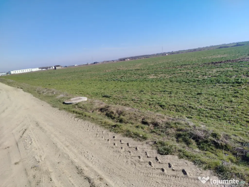 Teren extravilan, Cârcea, 988 mp