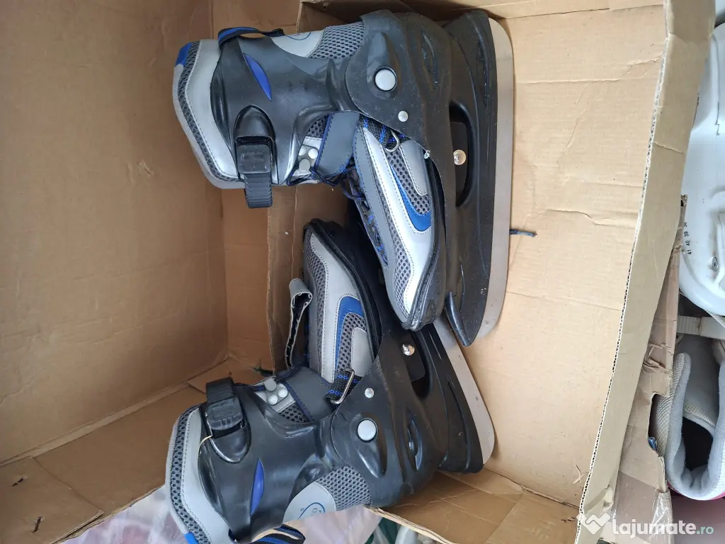 Patine role  si  gheata 