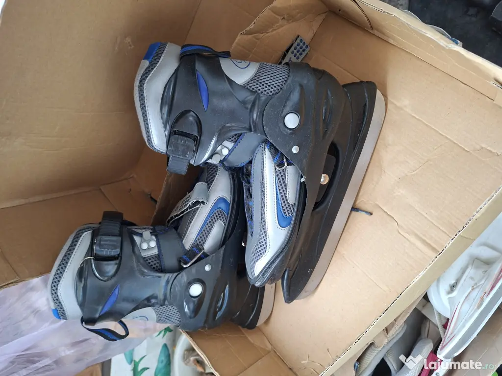 Patine role  si  gheata 