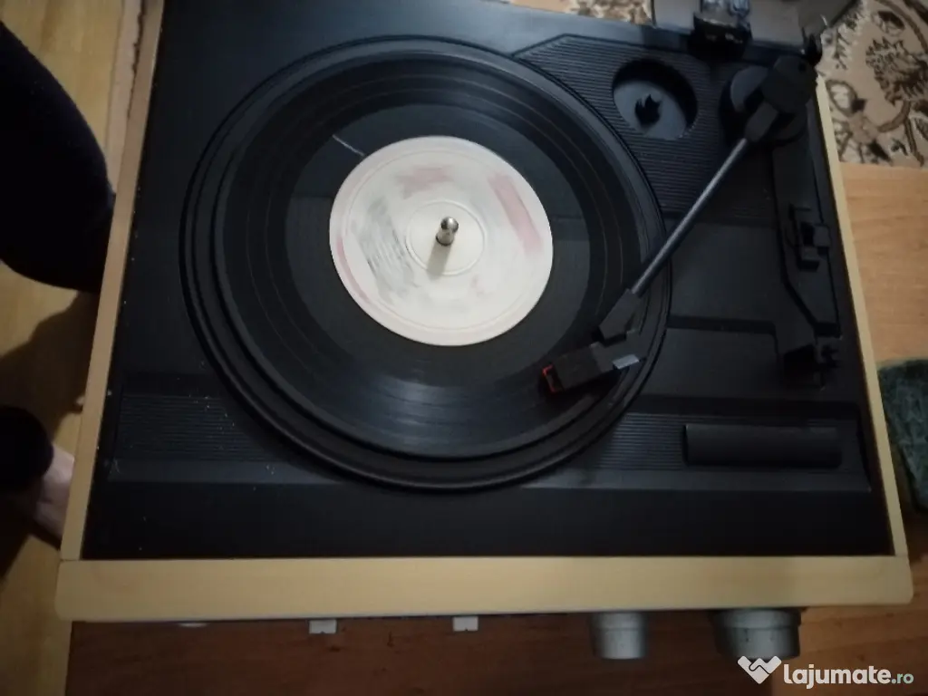 Pui Rottweiler femela 