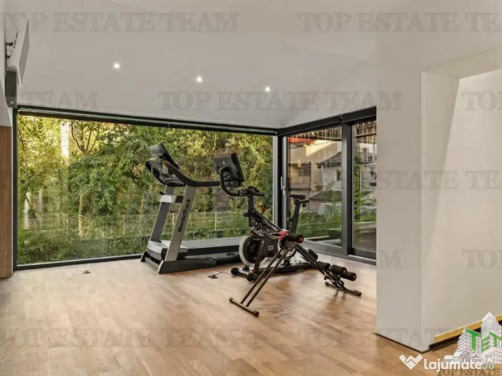 Vila spectaculoasa Floreasca, Arhitectura moderna - Design 