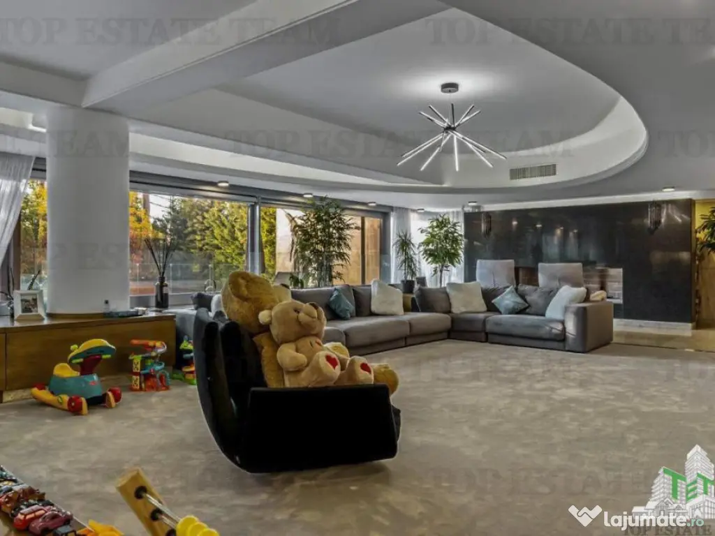 Vila spectaculoasa Floreasca, Arhitectura moderna - Design 