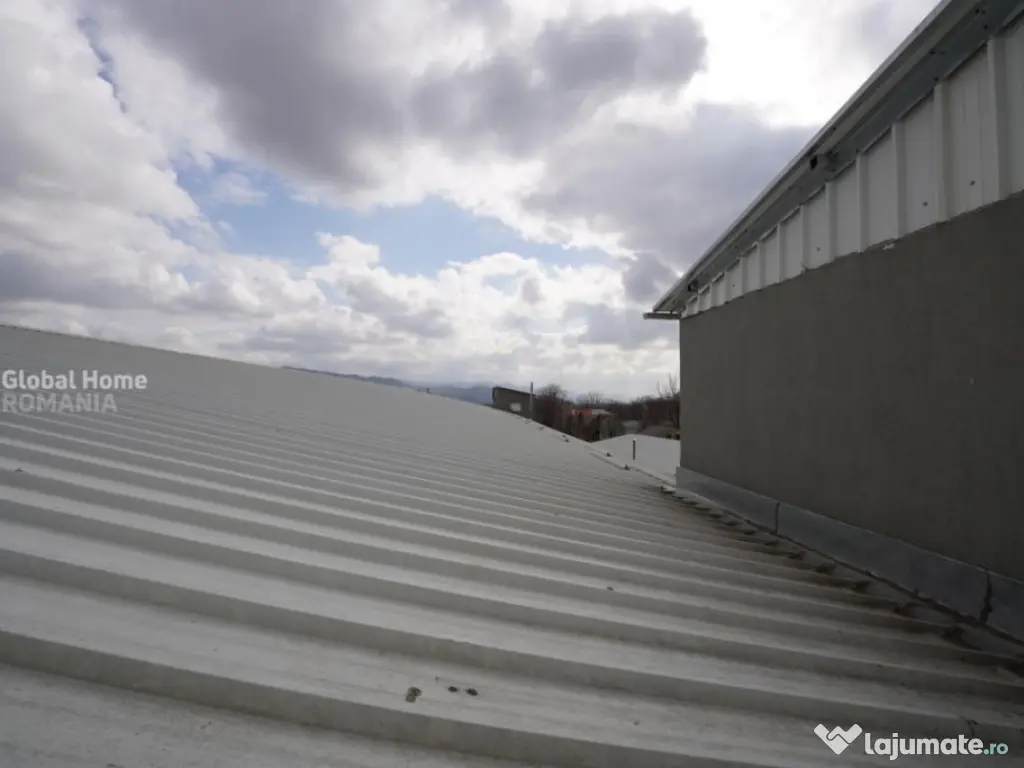 Platformă comercial–industrială cu venit activ || Macin 