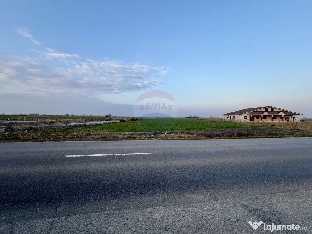 Teren 12,360mp Botarlau / Strada Unirii