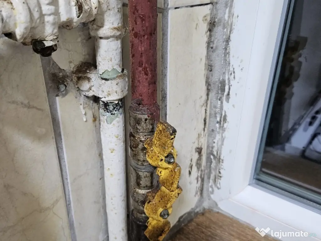 De vînzare pui ciobănesc german 