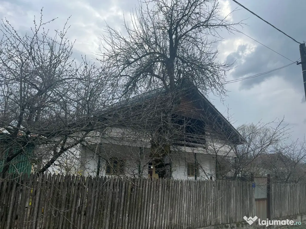 Gospodarie 2 Case cu teren 5000mp comuna Roești, sat Băjenari