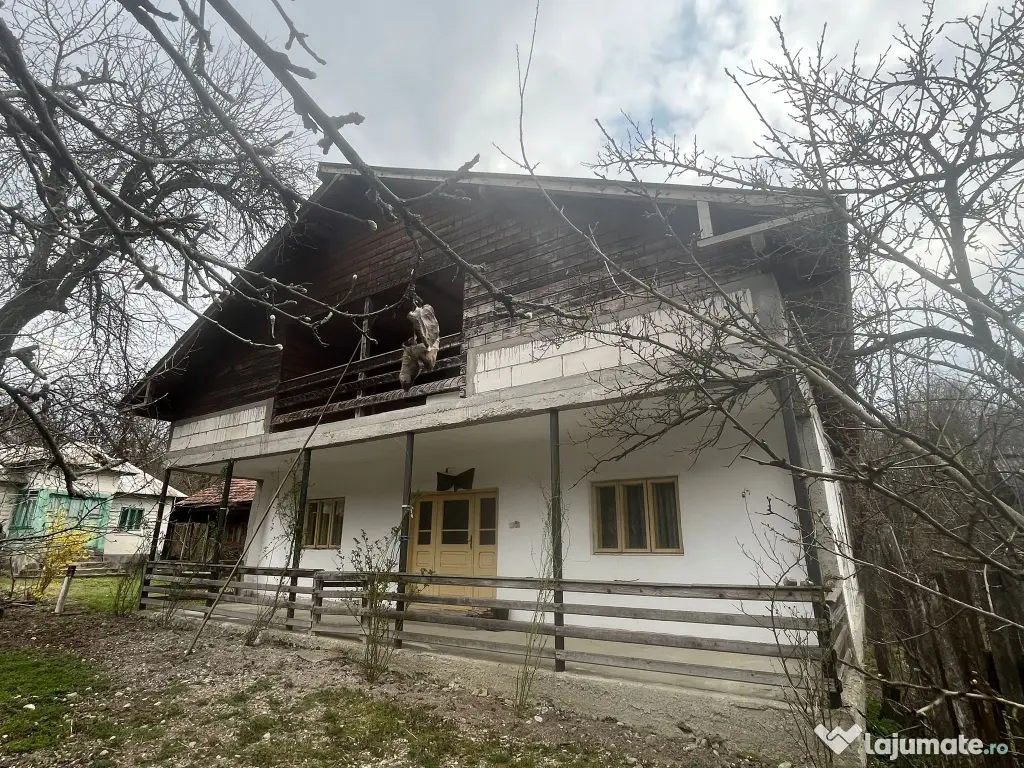 Gospodarie 2 Case cu teren 5000mp comuna Roești, sat Băjenari