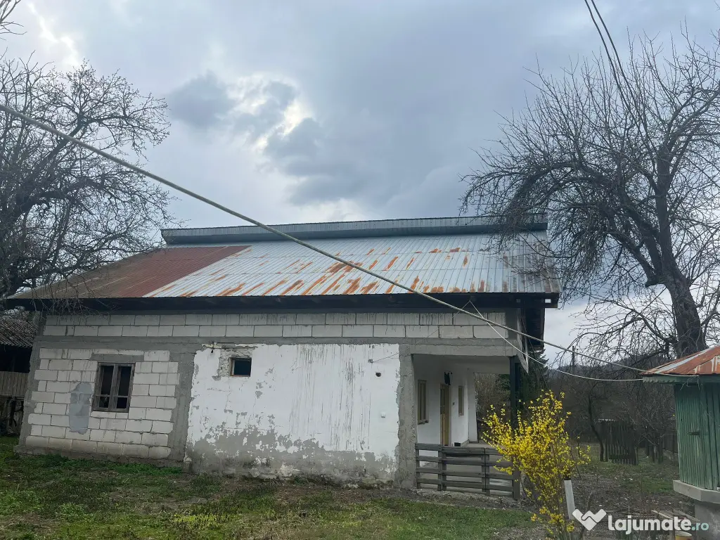 Gospodarie 2 Case cu teren 5000mp comuna Roești, sat Băjenari