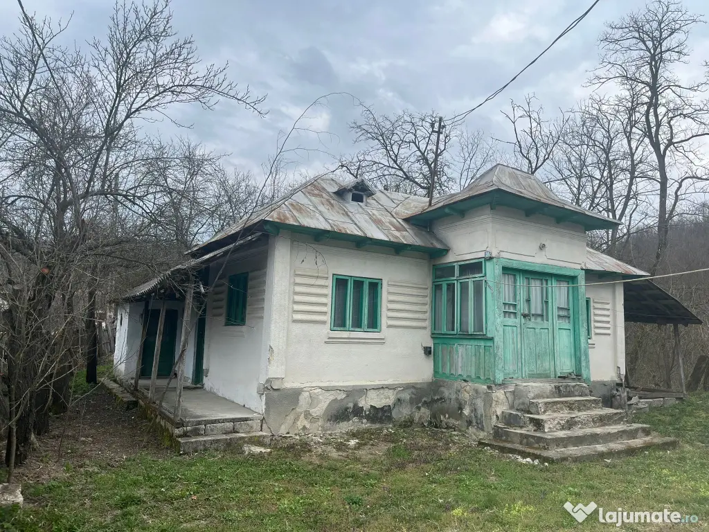 Gospodarie 2 Case cu teren 5000mp comuna Roești, sat Băjenari