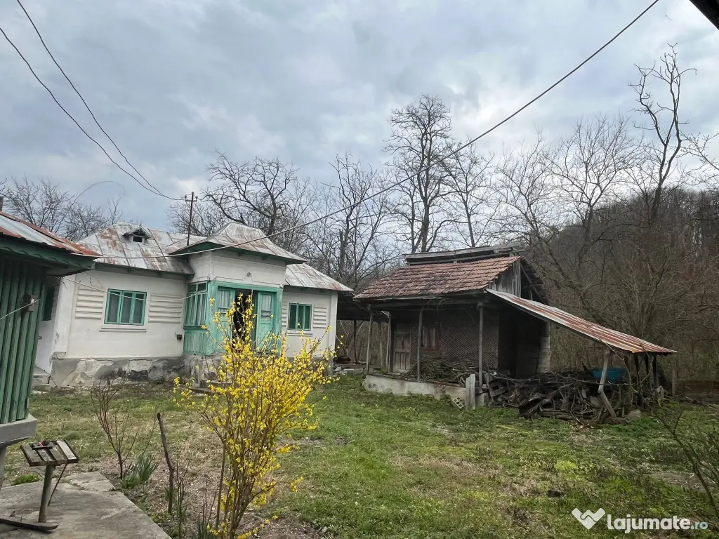 Gospodarie 2 Case cu teren 5000mp comuna Roești, sat Băjenari