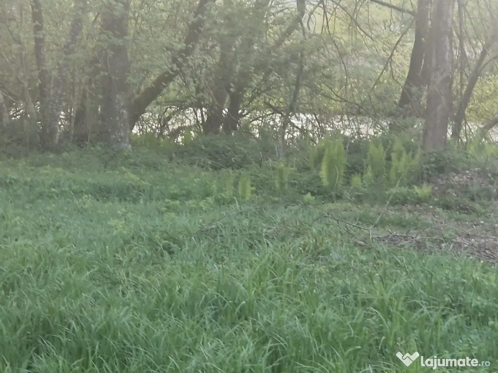 Teren de vanzare 26403mp 