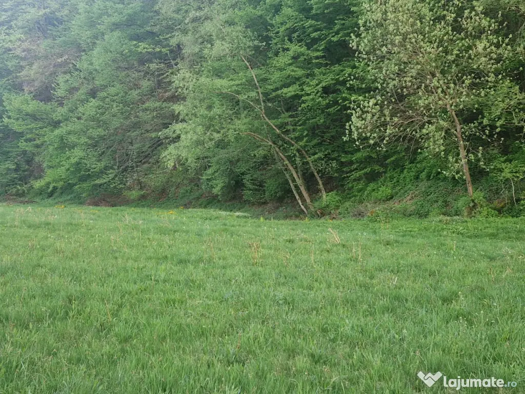 Teren de vanzare 26403mp 