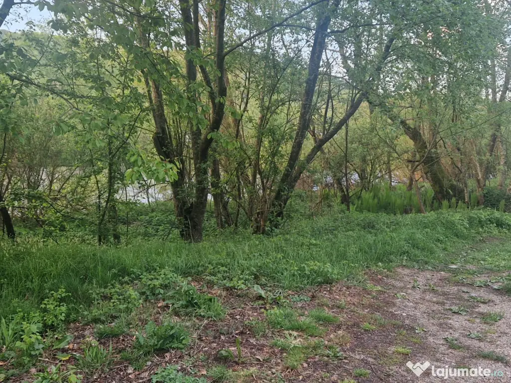 Teren de vanzare 26403mp 