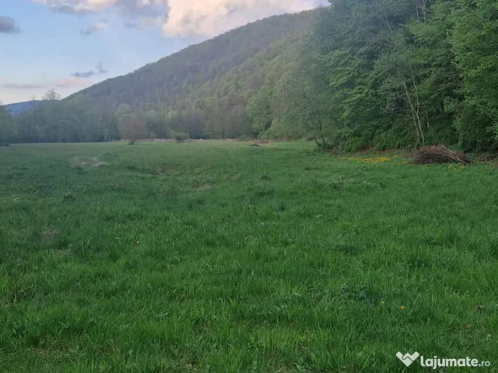 Teren de vanzare 26403mp 